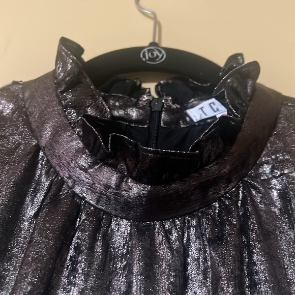 TCEC Silver Mini Dress - Picture 3 of 12